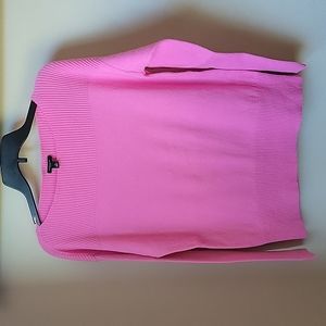 Pink Ann Taylor Sweater